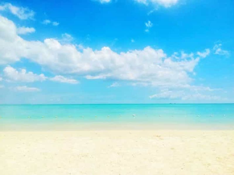 Billet Baignade avec les dauphins sauvages et 4 plages du nord avec transport