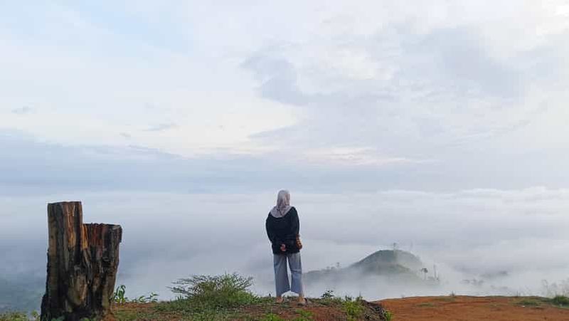 Billet Mont Sago : randonnée au sommet Zen et visite d'une plantation de palmiers à sucre