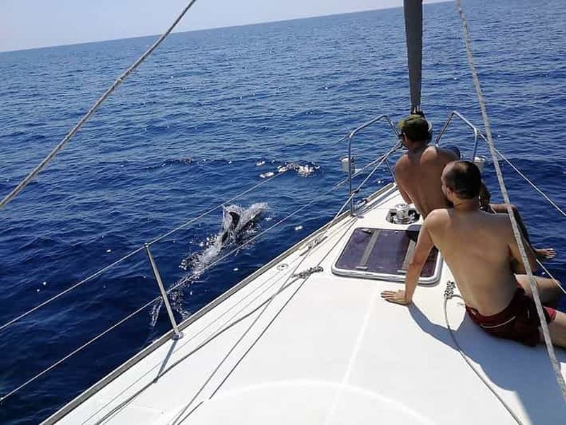 Billet Barcelone : Excursion en bateau avec boissons et collations