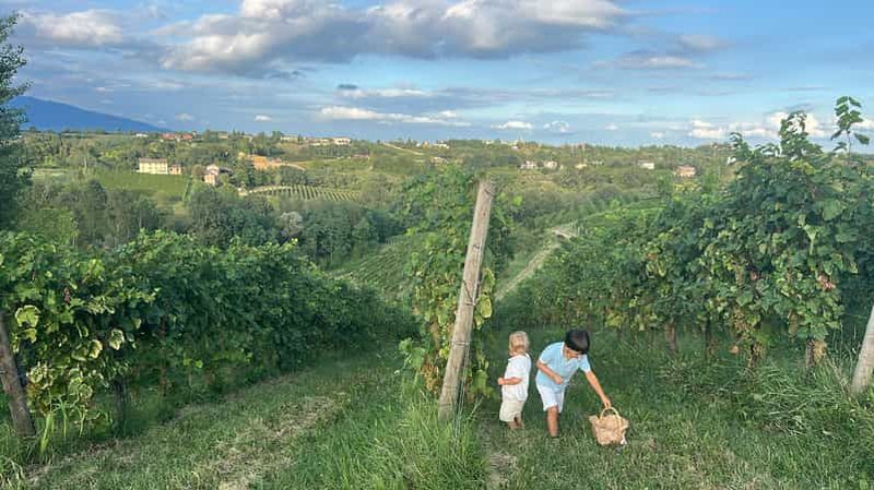 Billet Prosecco : fête du vin et de la gastronomie dans une Osteria familiale