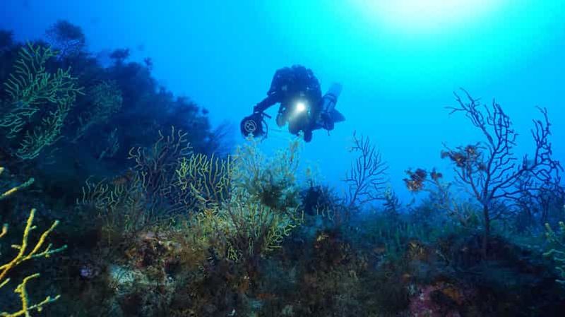 Billet Montepaone Soverato : Plongée sous-marine guidée