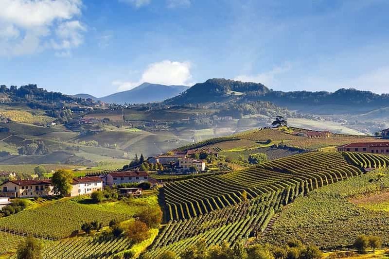 Billet Visite privée : Dégustation de vin Barolo dans la région des Langhe depuis Turin