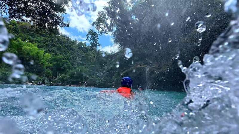 Billet Cebu : requins baleines, chutes de Kawasan et plongée avec tuba pour observer les sardines