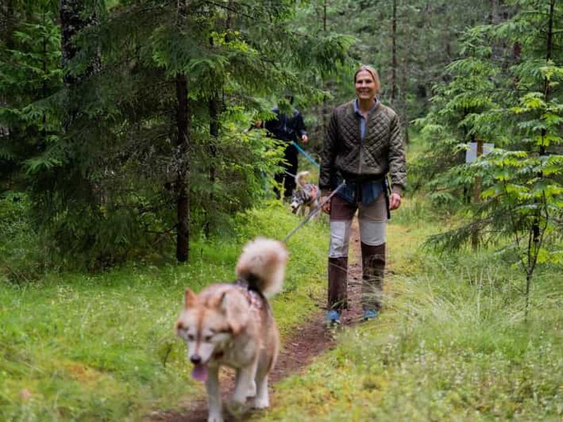 Billet Au départ de Tallinn : visite du parc Husky avec randonnée Cani-Cross