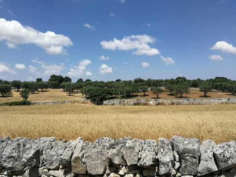 Billet Valle d'Itria : randonnée avec construction de murs en pierres sèches