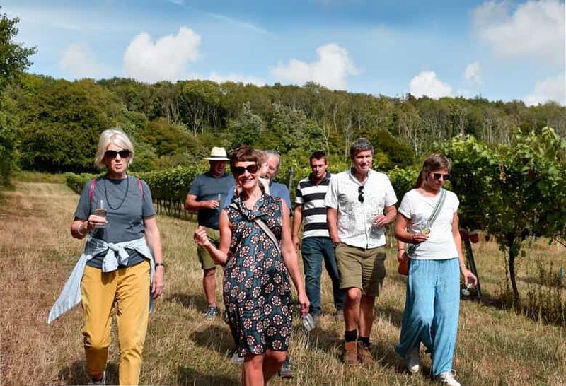 Billet Kent : Visite et dégustation de vin au domaine viticole de Westwell