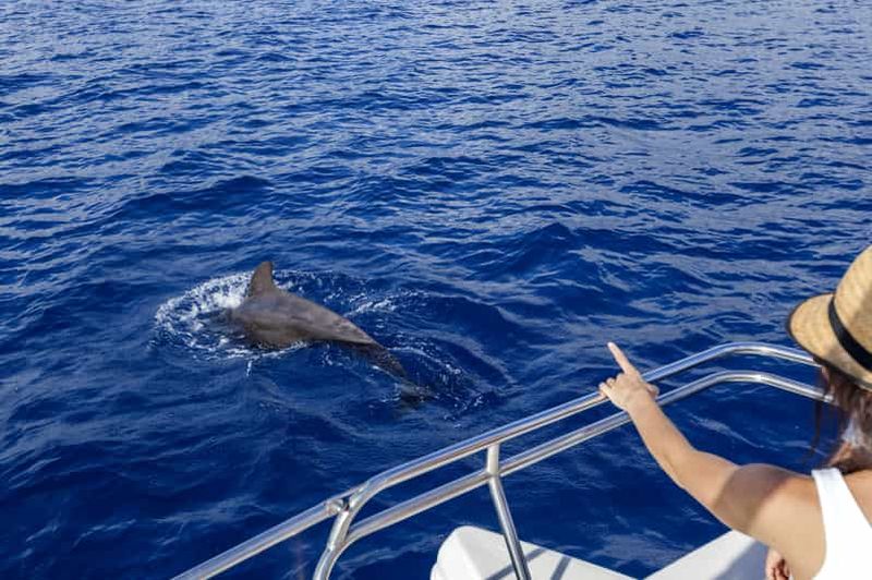 Billet Ténérife : excursion d'observation des baleines et des dauphins en voilier