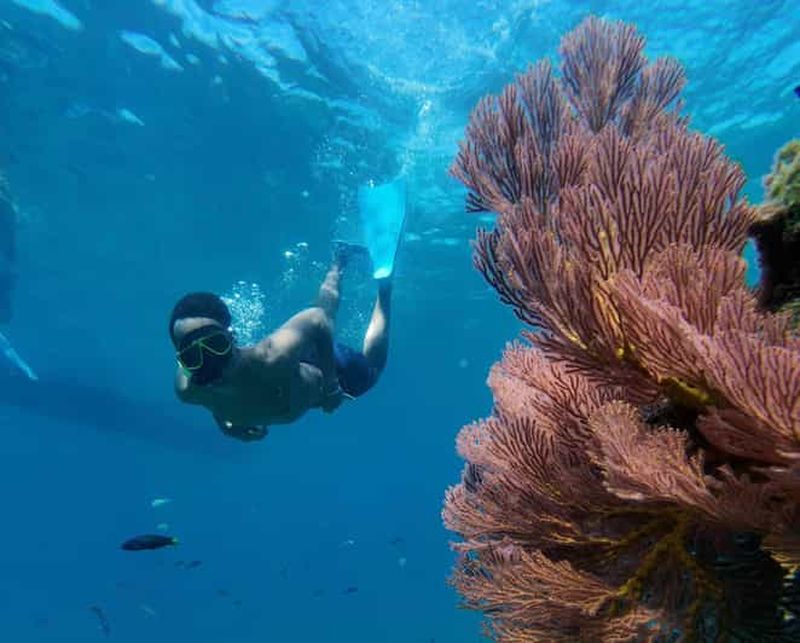 Billet Koh Lipe : tour en bateau avec plongée en apnée pour le programme basse saison C