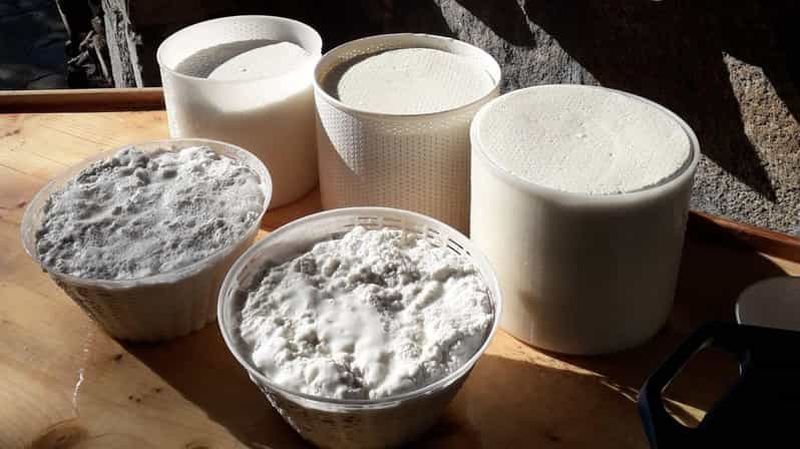 Billet Burgos : atelier sur le fromage pecorino sarde