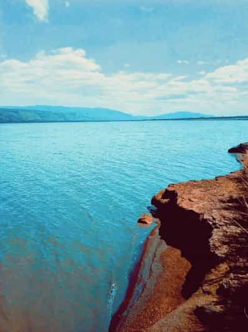 Billet Depuis Nairobi : observation des oiseaux et excursion en bateau sur le lac Olbolosat