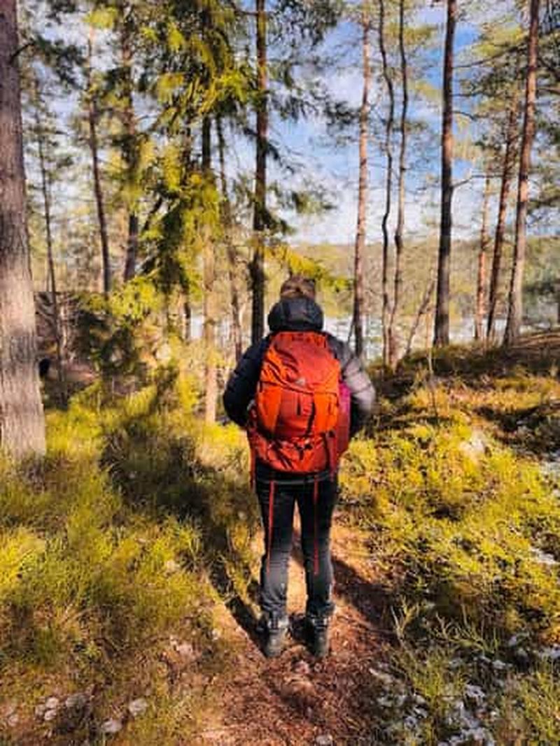 Billet Oslo : randonnée en forêt avec vue panoramique sur le fjord et un chien
