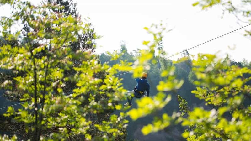 Billet Zanzibar : aventure en tyrolienne dans la forêt de Masingini avec prise en charge