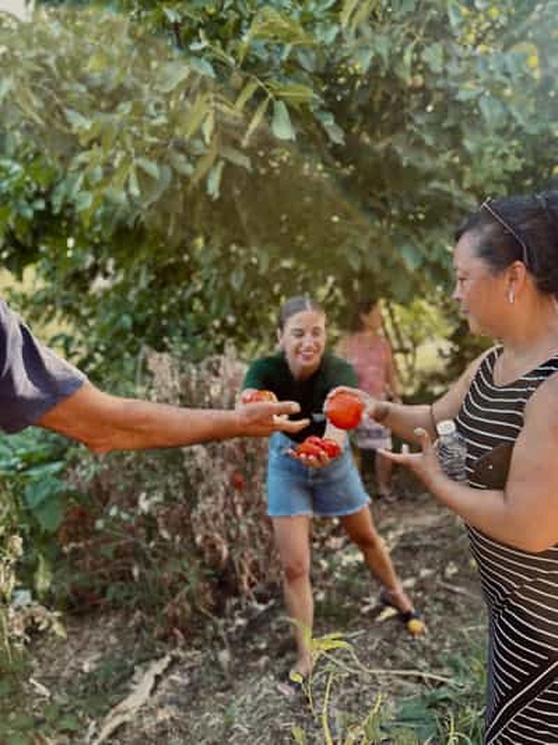 Billet Région de La Canée : Cours de cuisine dans une ferme du village de Stylos