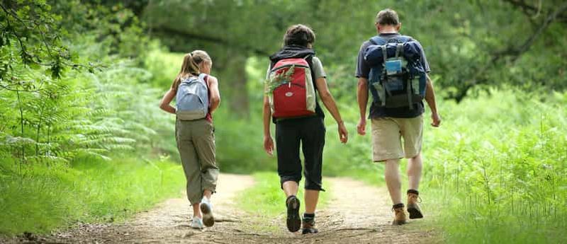 Billet Visite d'une demi-journée des montagnes du Drakensberg et randonnée au départ de Durban