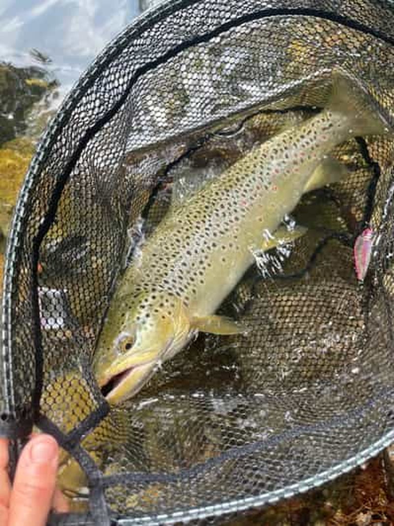 Billet Bassano del Grappa : expérience de pêche sur la rivière Brenta