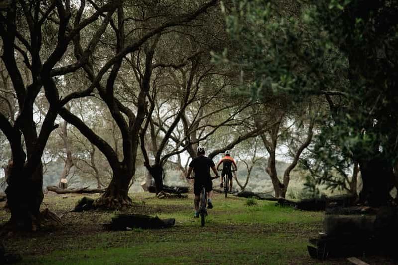 Billet Corfou : visite en vélo électrique avec dégustation d'huile d'olive