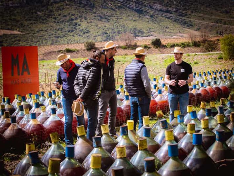 Billet Wine Tour en minibus: Journée Pique-Nique et Vins autour de Perpignan