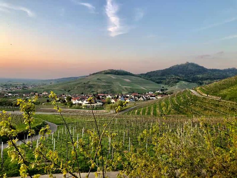 Billet Baden-Baden : excursion privée en VTT électrique avec un guide de la région