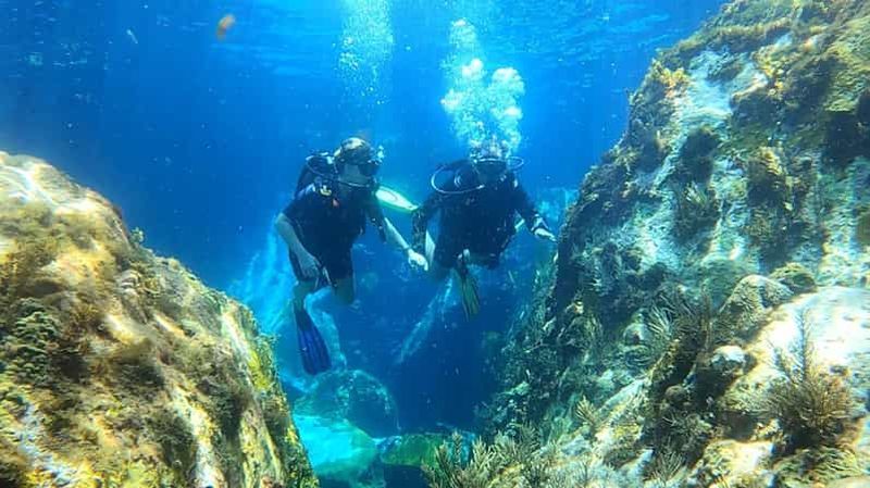 Billet Martinique : baptême de plongée sous-marine