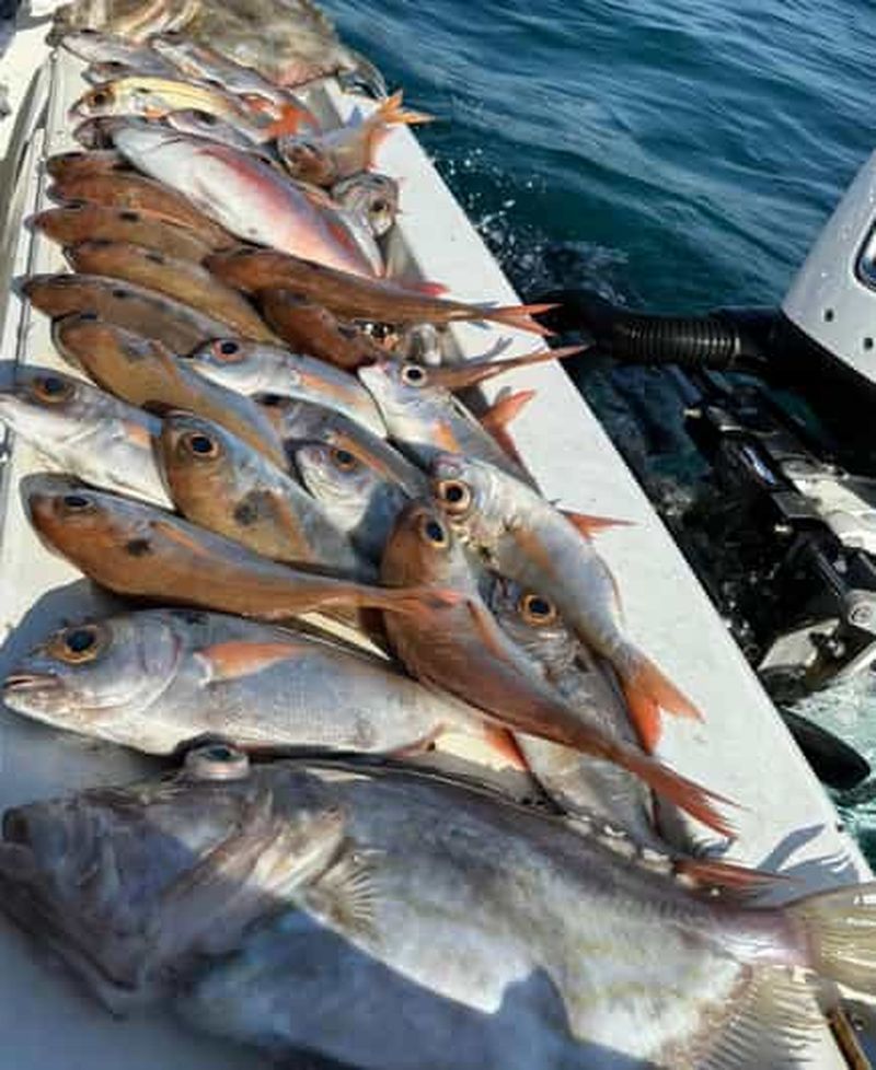 Billet Tour de pêche avec technique de pêche au moyen fond ou à la canne.