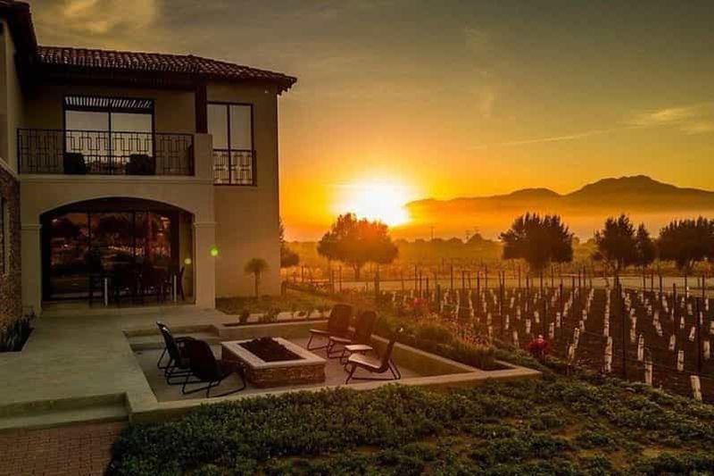 Billet Valle de Guadalupe : dégustation de vins et visite en charrette