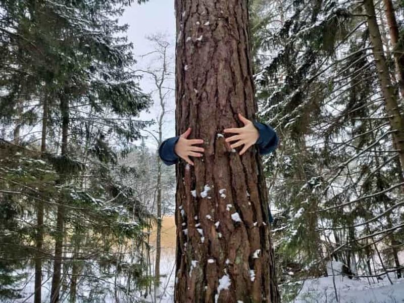 Billet Helsinki : expérience réparatrice en forêt sur l'île de Seurasaari