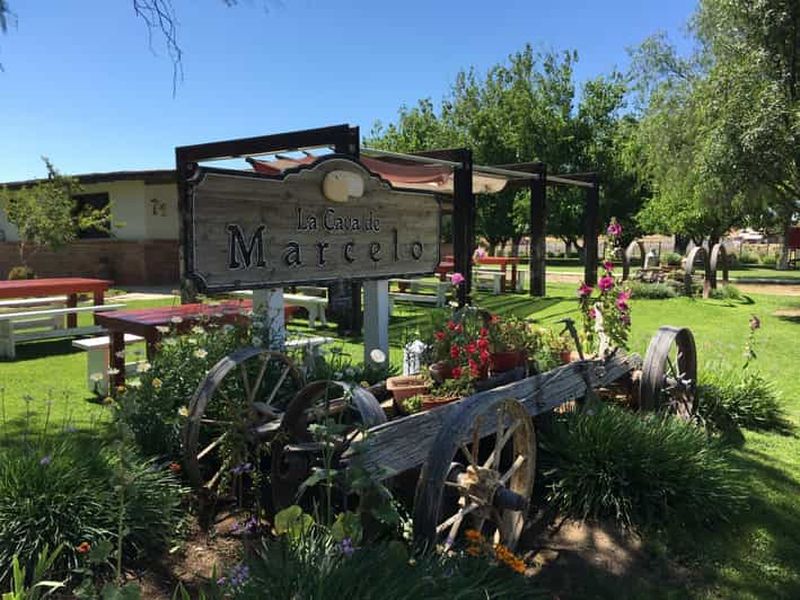 Billet Valle de Guadalupe : Visite des vins et fromages