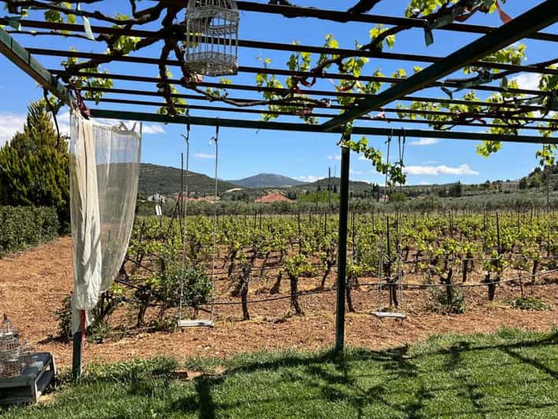 Billet Au départ d'Athènes : Circuit des vins de Némée avec arrêt sur le canal de Corinthe