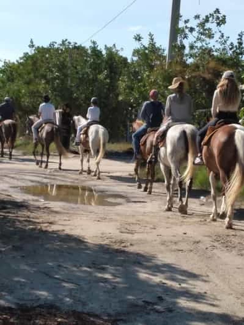 Billet Randonnée à cheval en groupe sur l'île de Holbox, Quintana Roo