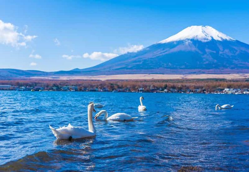 Billet Depuis le port de Shimizu : excursion d’une journée privée au mont Fuji et à Hakone Mont Fuji et Hakone : excursion privée d’une journée