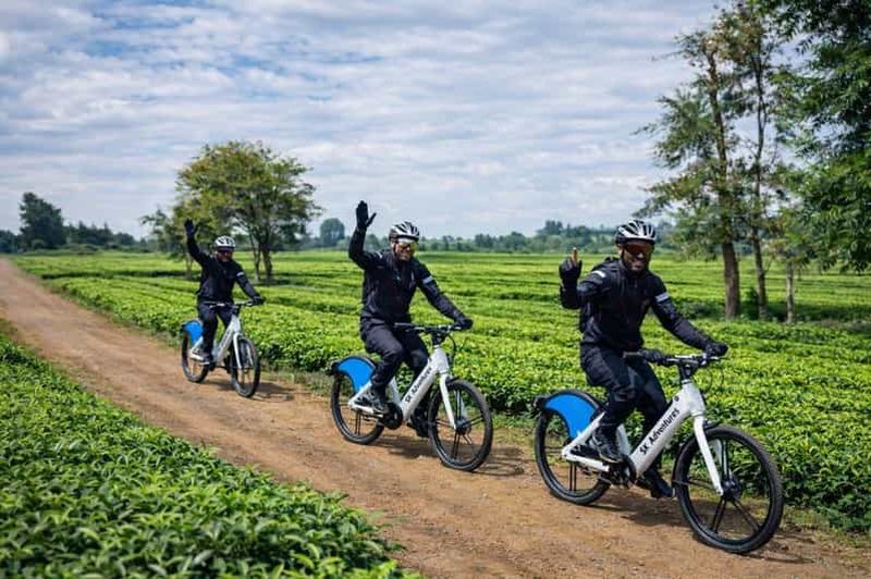 Billet Limuru : balade en vélo électrique dans les plantations de thé
