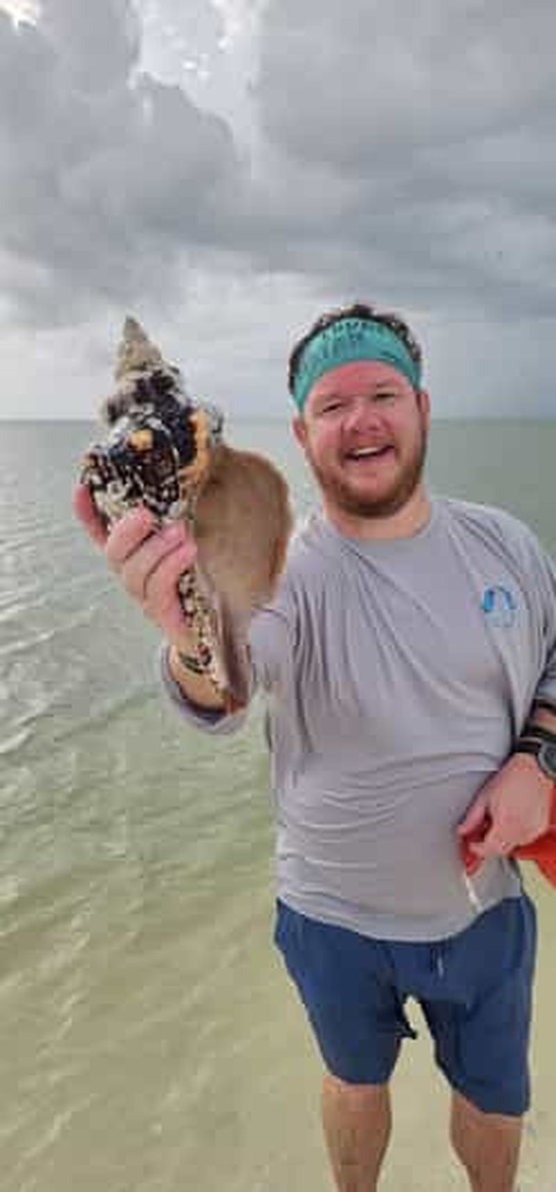 Billet Marco Island : Dauphins, coquillages, plage et Ten Thousand Island