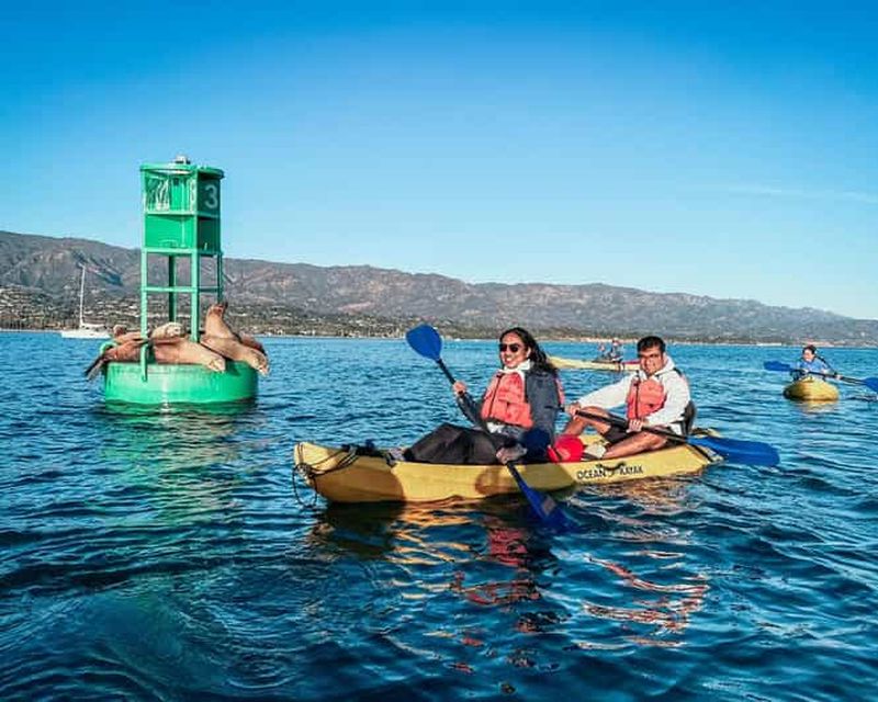 Billet Port de Santa Barbara : Excursion en kayak pour la faune (2 heures)