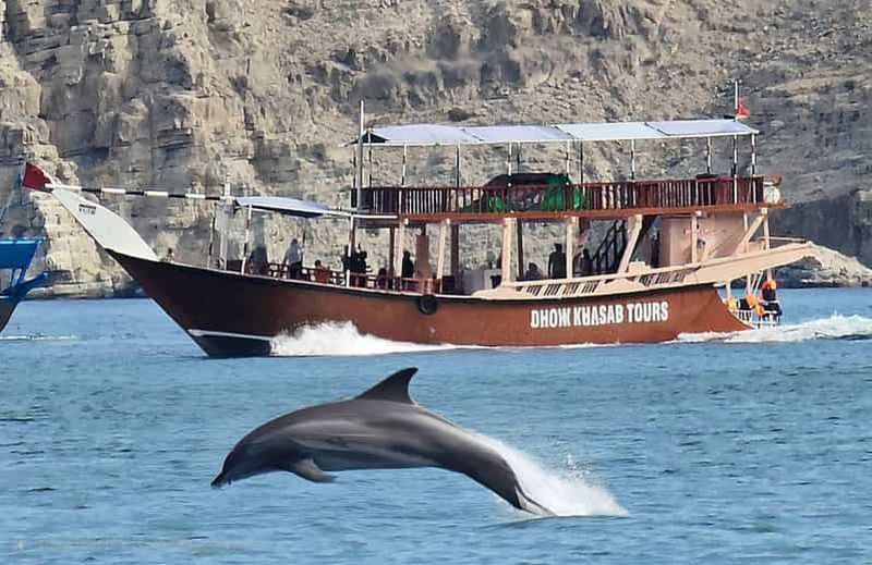 Billet Khasab : Croisière d'une demi-journée en boutre, observation des dauphins et plongée en apnée