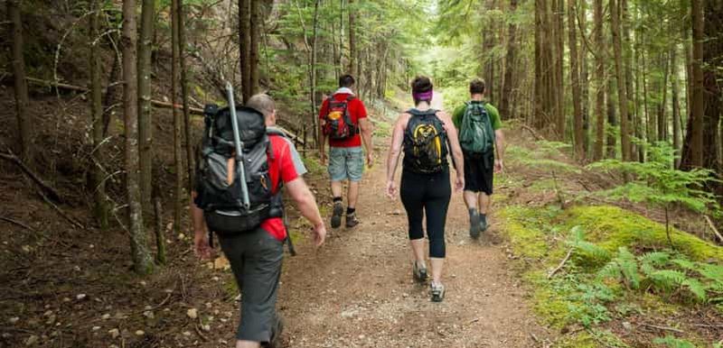 Billet 1/2 Visite de la réserve de chasse de Tala et du parc safari de Phezulu