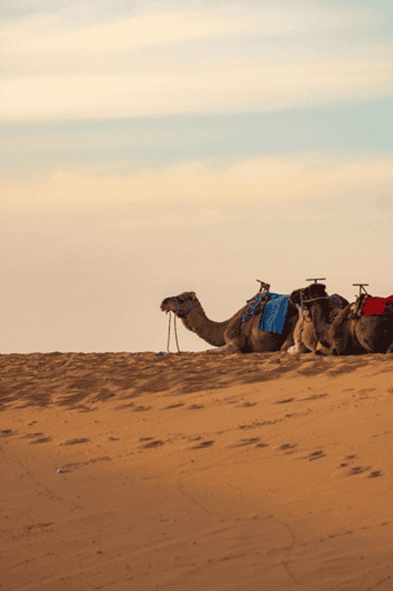 Billet Depuis Marrakech : 3 jours dans le Sahara jusqu'à Merzouga