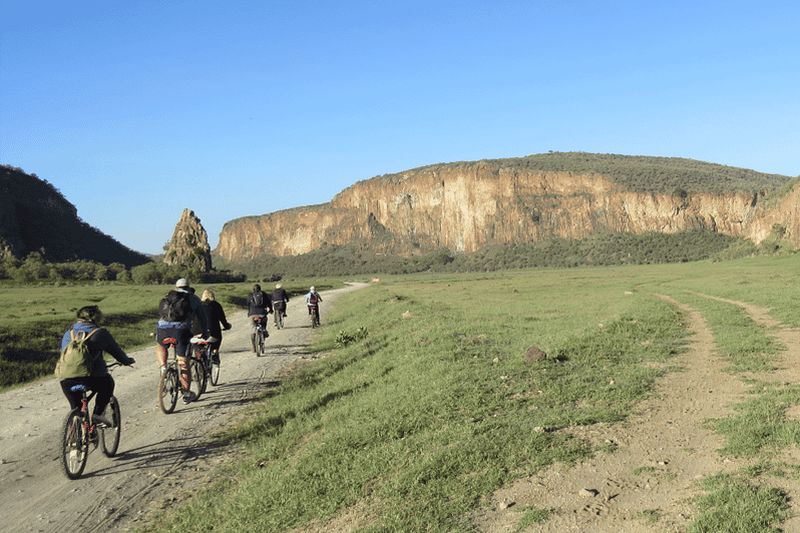 Billet Excursion d'une journée : balade à vélo à Hell's Gate et sortie en bateau sur le lac Naivasha