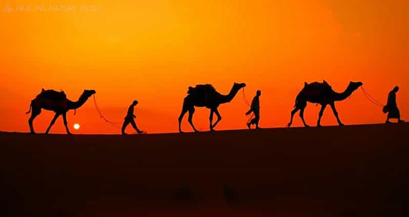 Billet Safari dans le désert, rallyee à les dunes, balade à dos de chameau, planche à voile, coucher de soleil.
