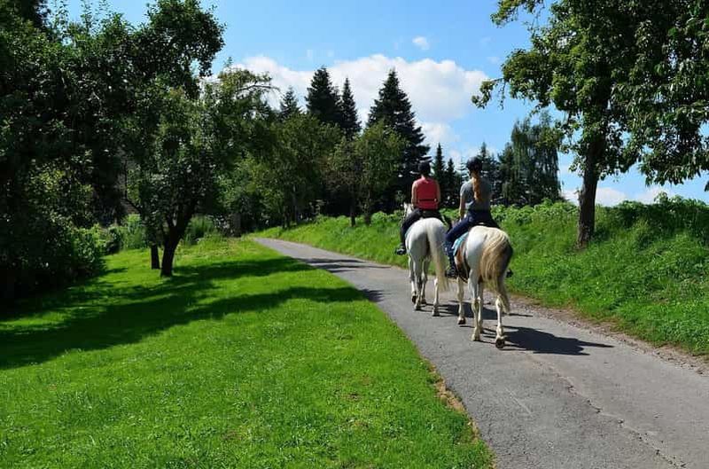 Billet Balade romantique à deux – Profitez de la nature et des chevaux
