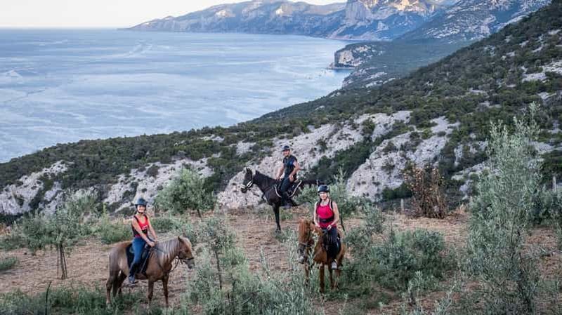 Billet Dorgali : promenade à cheval pour débutants dans le golfe d'Orosei