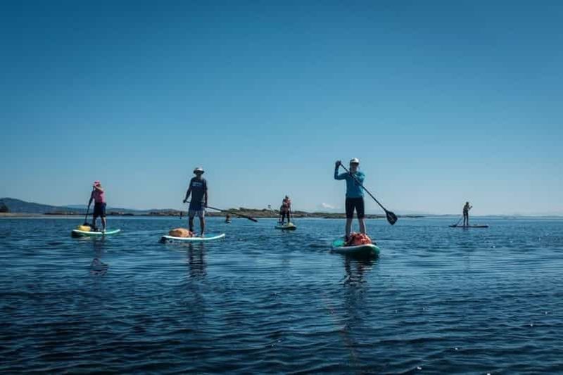Billet Victoria, BC : Apprenez à faire du SUP et faites du tourisme