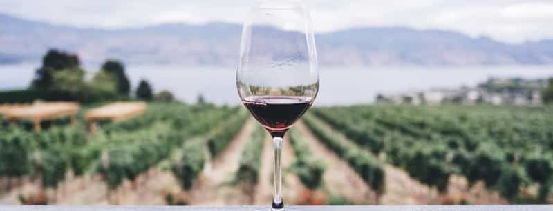 Billet Aventure œnologique à Céphalonie avec 18 dégustations de vin dans 3 caves