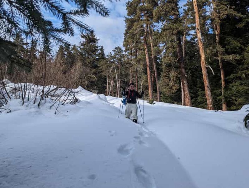 Billet Randonnée en raquettes en Géorgie : parc national de Borjomi-Kharagauli