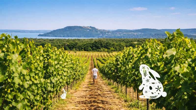 Billet Lac Balaton : visite de vignoble à Pâques avec dégustation de vin