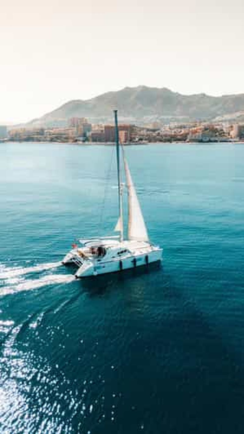 Billet Benalmádena : navigation et observation des dauphins avec collation/boissons