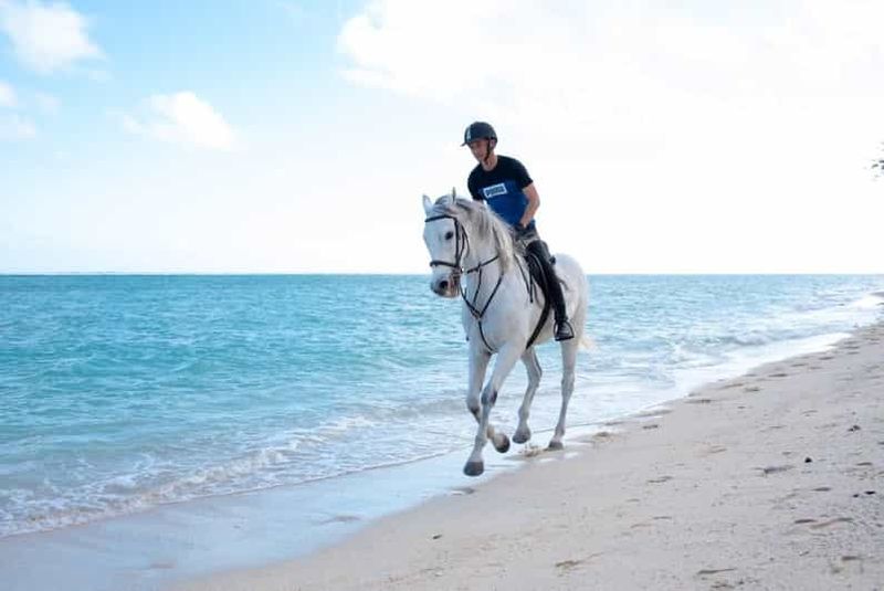 Billet Maurice : Balade à cheval sur la plage déserte de Riambel