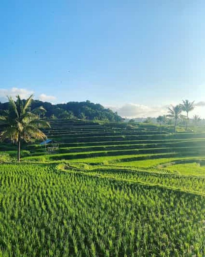 Billet Lombok : nature, culture et cours de tissage local