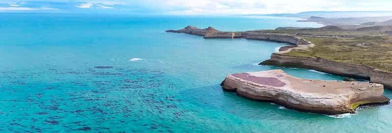 Billet El Calafate : Excursion 4x4 Monte León, loups et pingouins