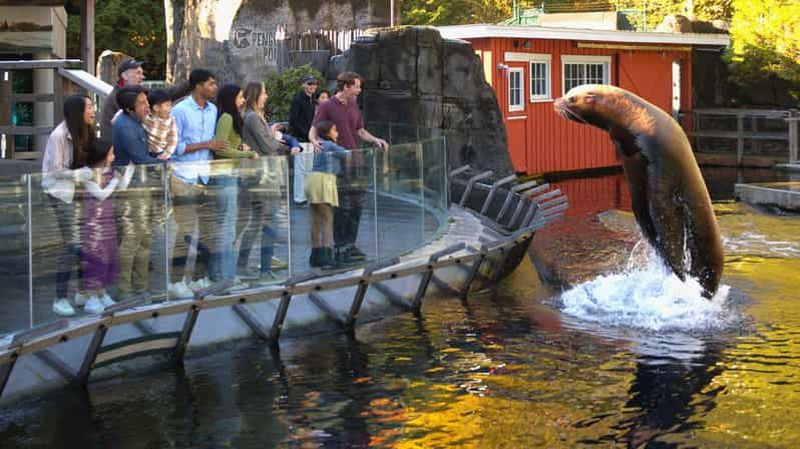 Billet Aquarium de Vancouver : billet coupe-file