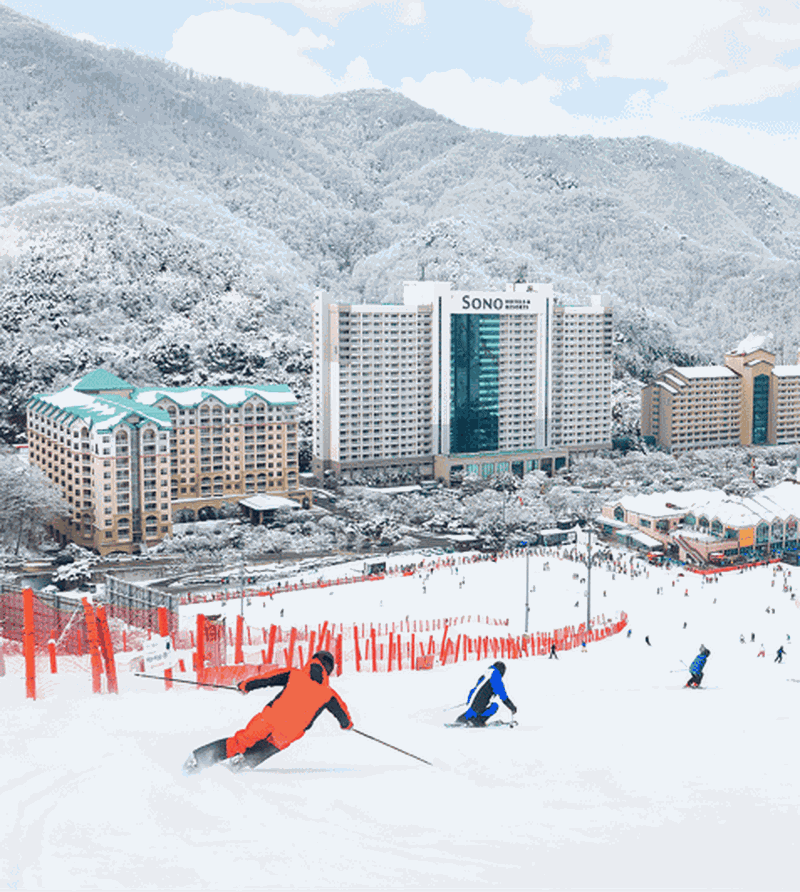 Billet Parc Vivaldi - Cours de ski privé
